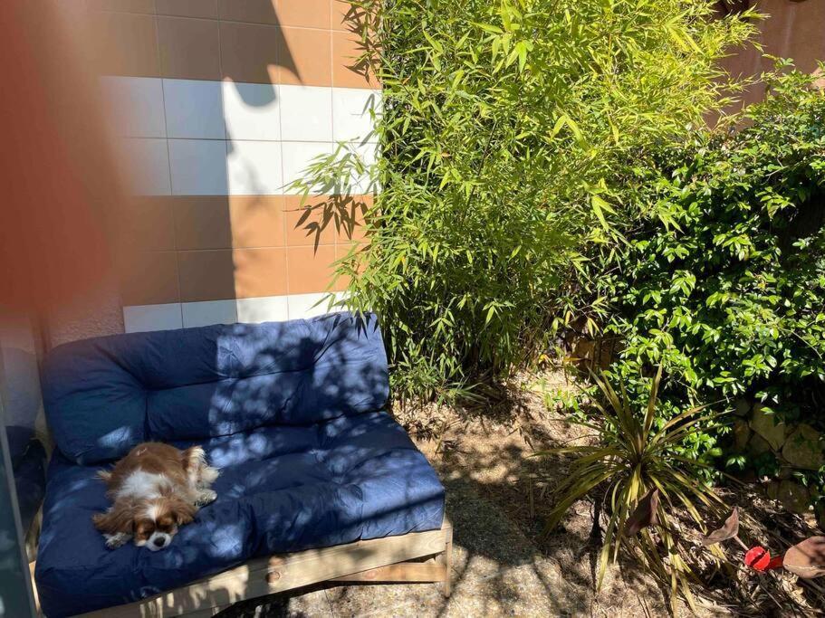 Charming Studio To Venelles 10 Minutes From Aix Exterior photo
